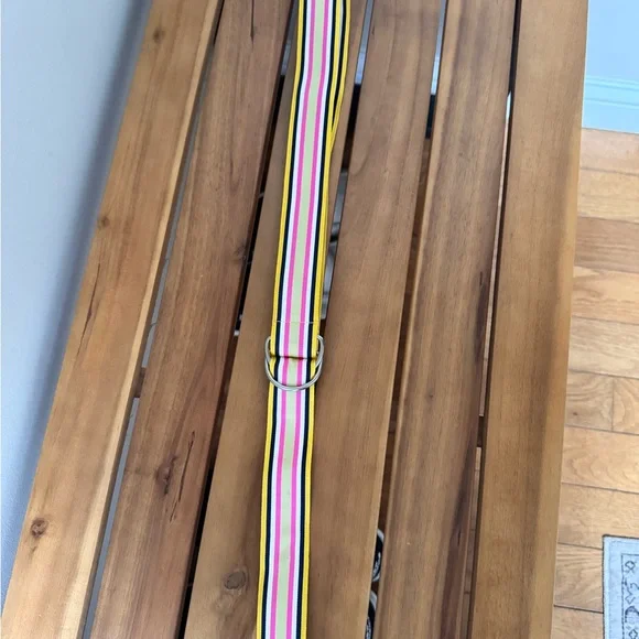 J Crew Ribbon Belt D Ring S/M Medium Striped 40"x1.5" - Picture 2 of 7